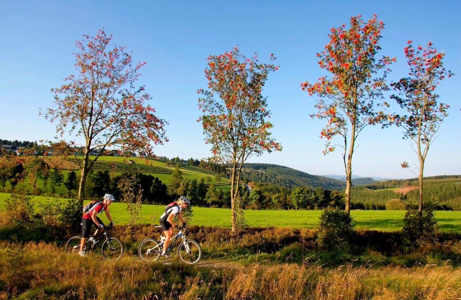 Der perfekte Ausgangspunkt