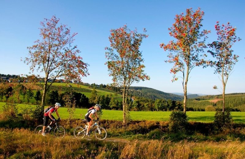 Mountainbike Routen rundum den Ferienpark in Brilon