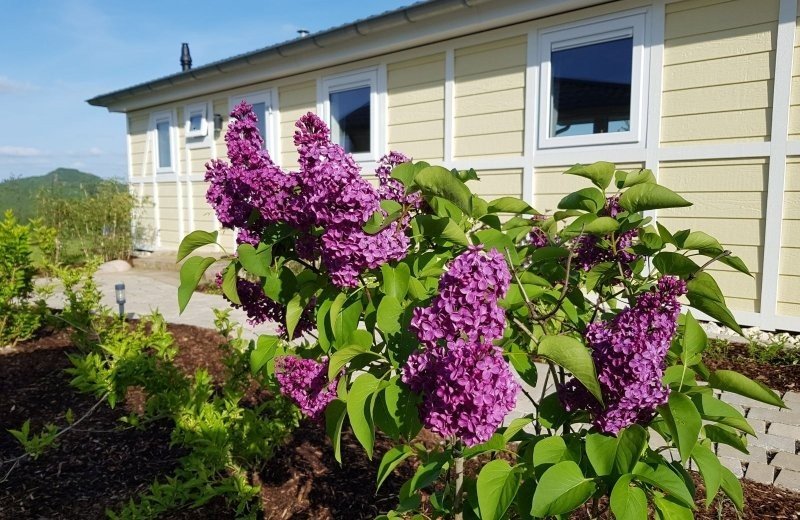 Mobilheim sauerland kaufen brilon